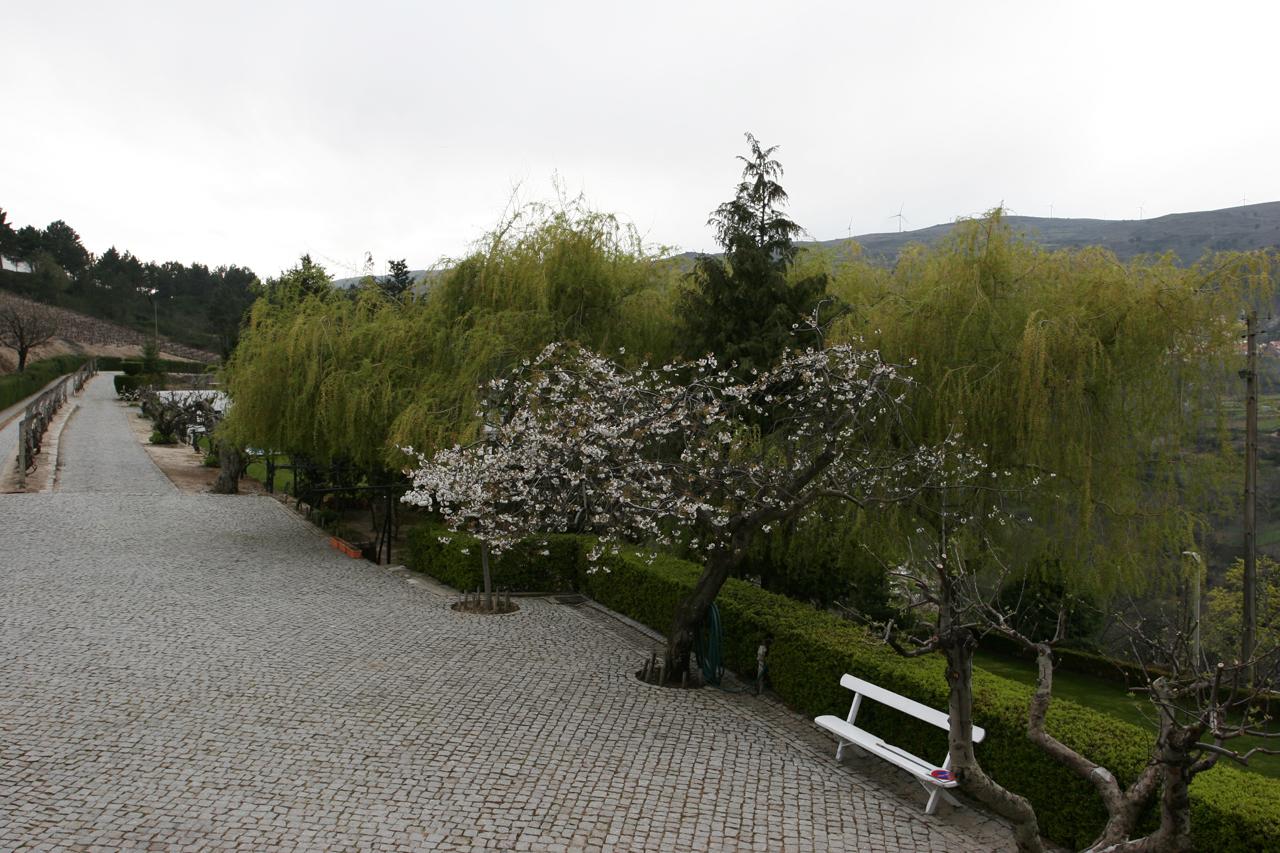 Quinta Da Timpeira Hotel Lamego Eksteriør billede